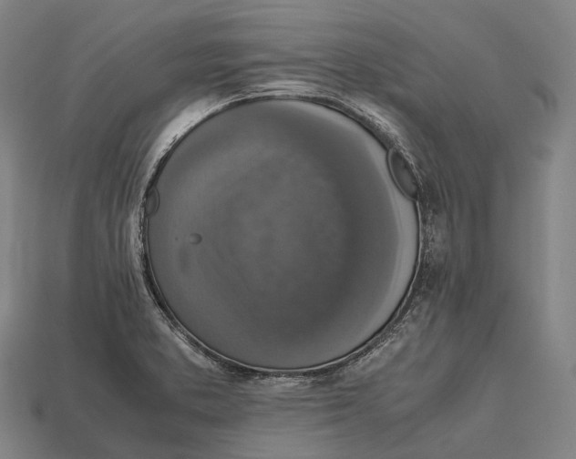 X0000113111373200909251043