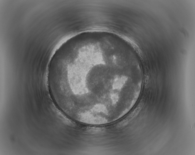 X0000113111374200909251043