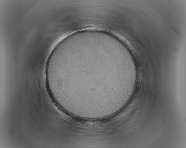 X0000113111375200909251043