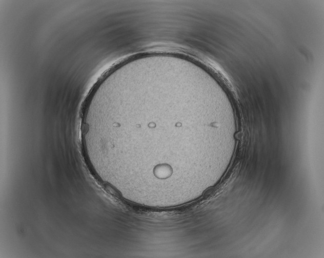 X0000113111376200909251043