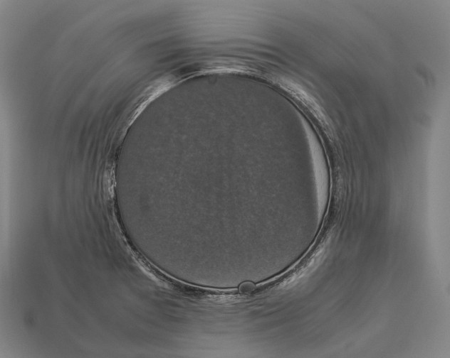 X0000113111377200909251043