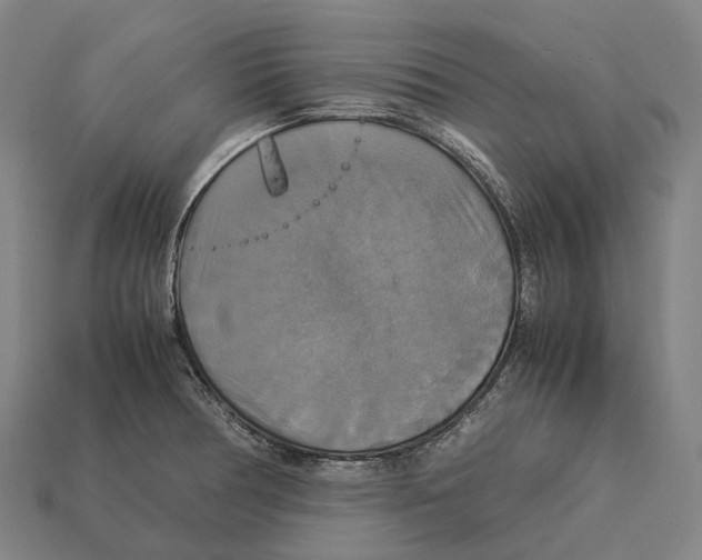 X0000113111378200909251043
