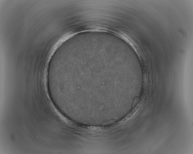 X0000113111379200909251043