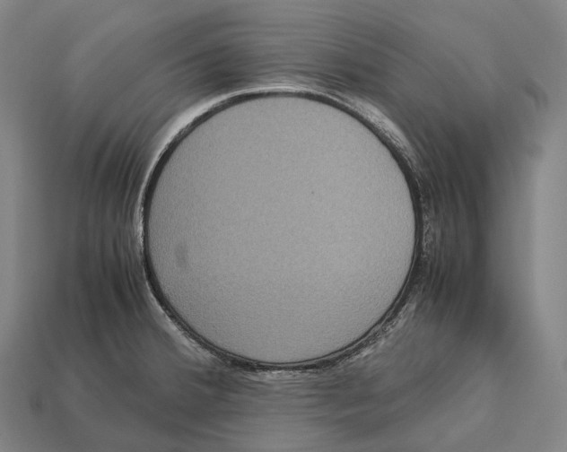 X0000113111380200909251043