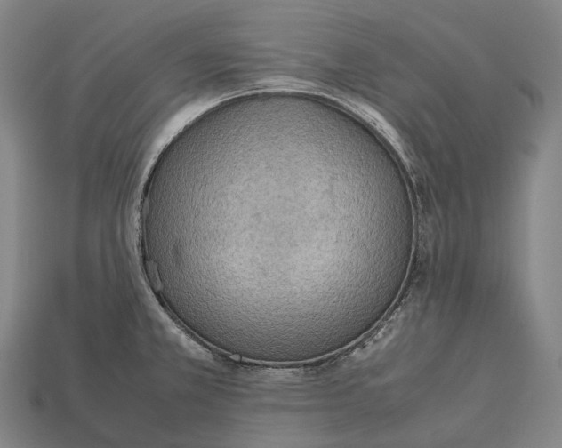 X0000113111381200909251043