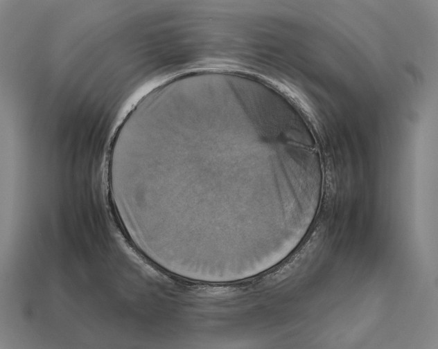 X0000113111382200909251043