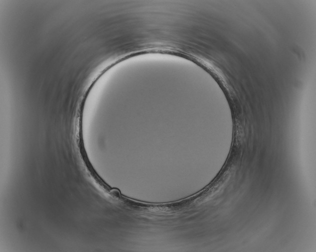 X0000113111383200909251043