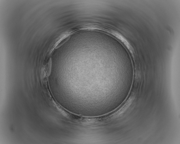 X0000113111385200909251043
