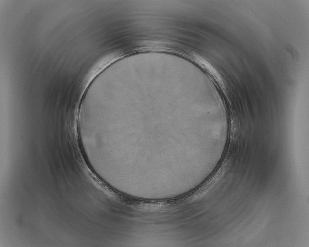 X0000113111386200909251043