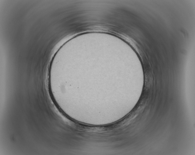 X0000113111387200909251043