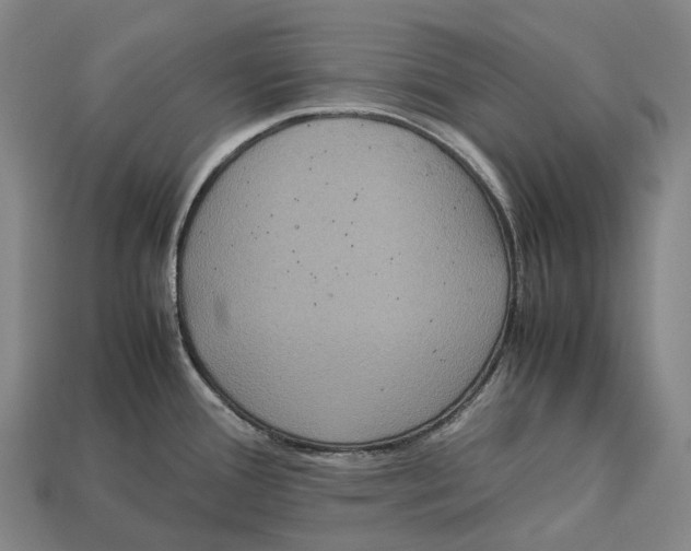 X0000113111388200909251043