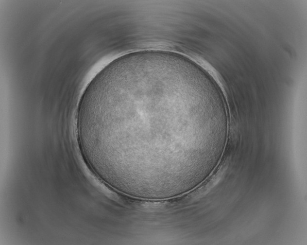 X0000113111389200909251043