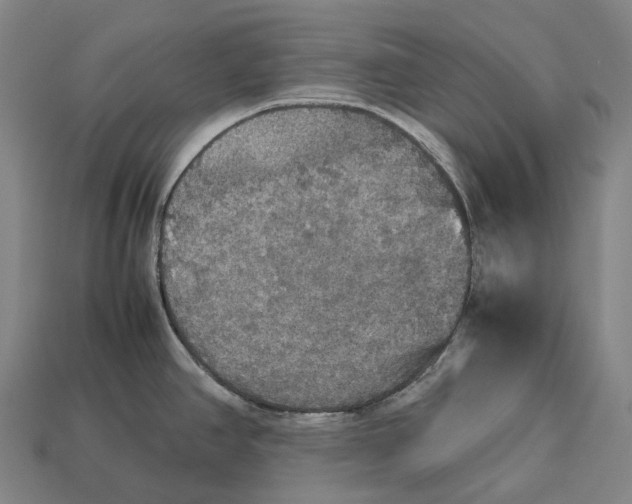 X0000113111390200909251043