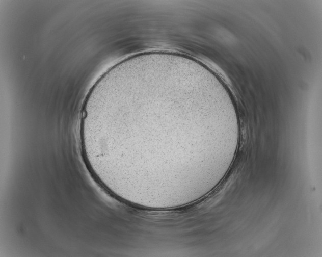 X0000113111391200909251043
