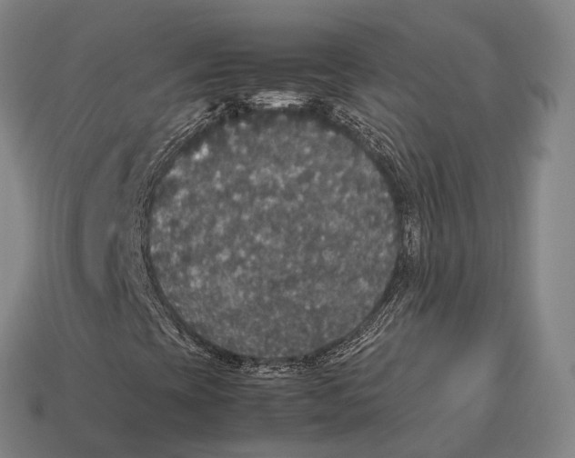 X0000113111393200909251042