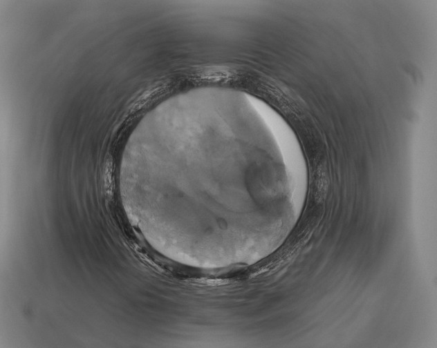 X0000113111394200909251042