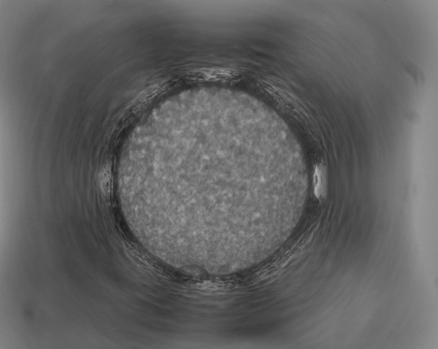 X0000113111395200909251042