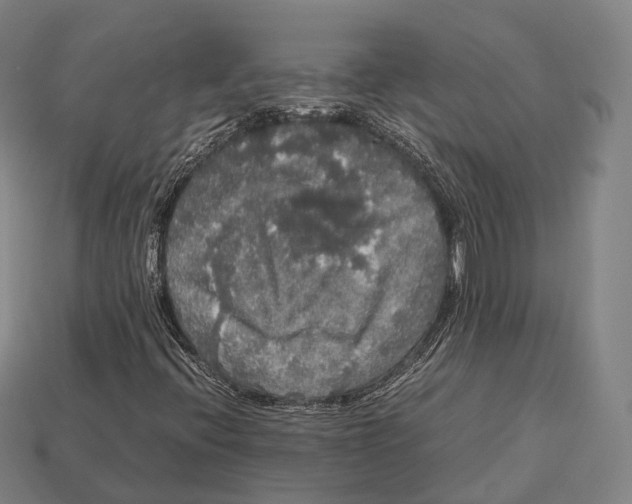 X0000113111396200909251042