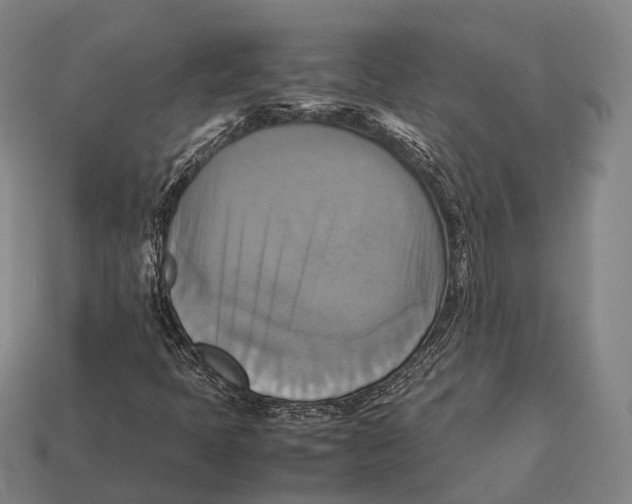 X0000113111397200909251042