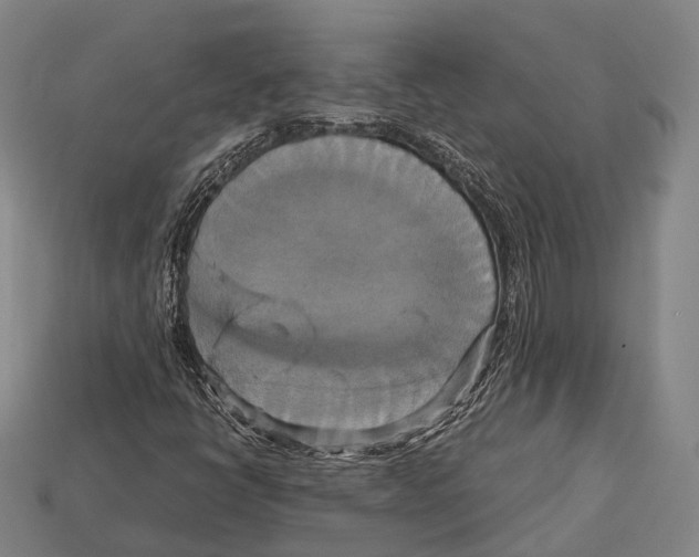 X0000113111398200909251042