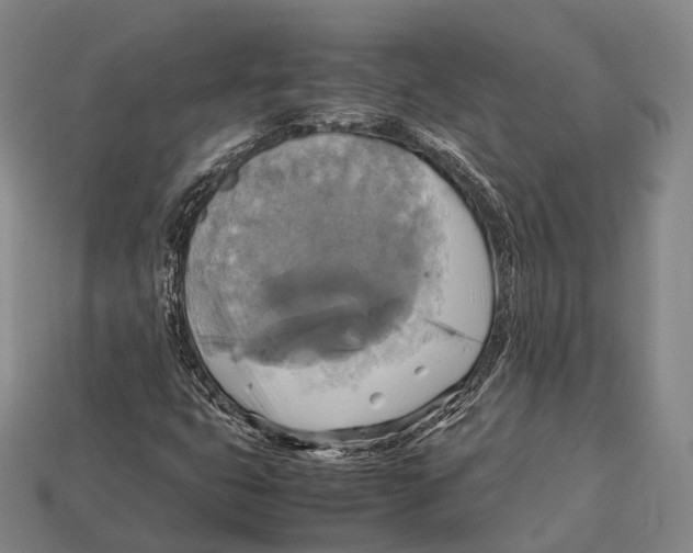 X0000113111399200909251042