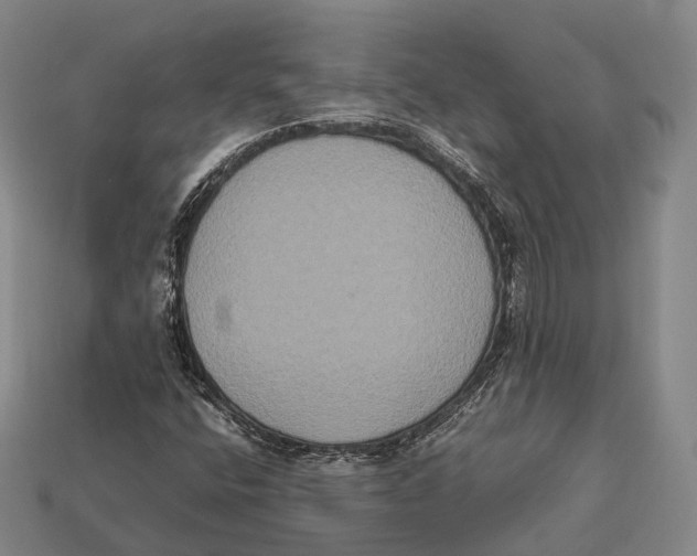 X0000113111400200909251042