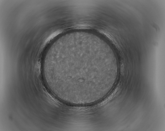 X0000113111402200909251042