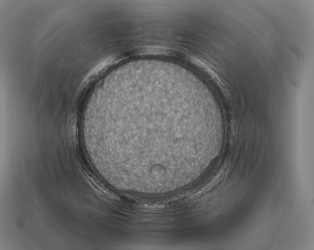 X0000113111403200909251042