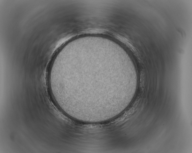 X0000113111404200909251042