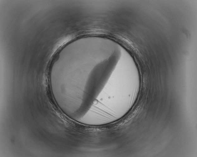 X0000113111405200909251042