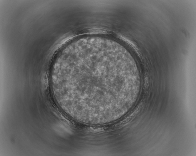 X0000113111407200909251042