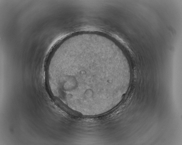 X0000113111408200909251042