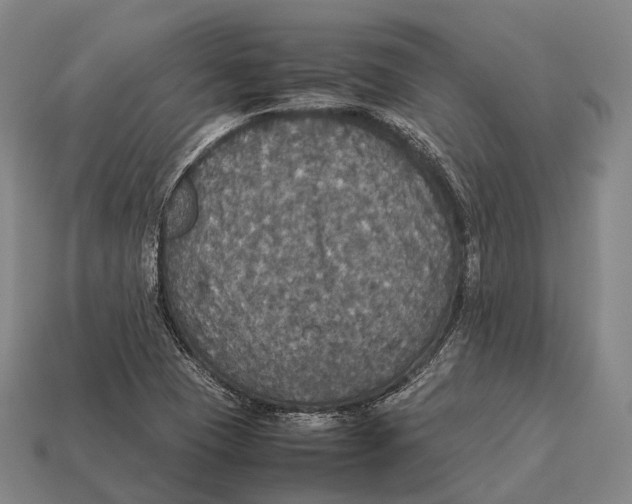 X0000113111409200909251042