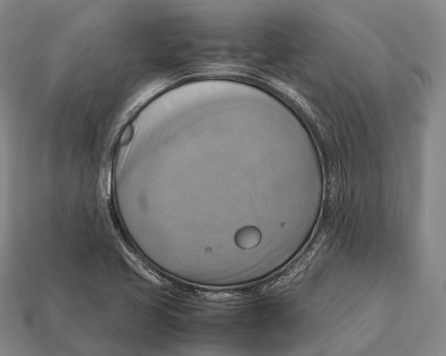 X0000113111413200909251043