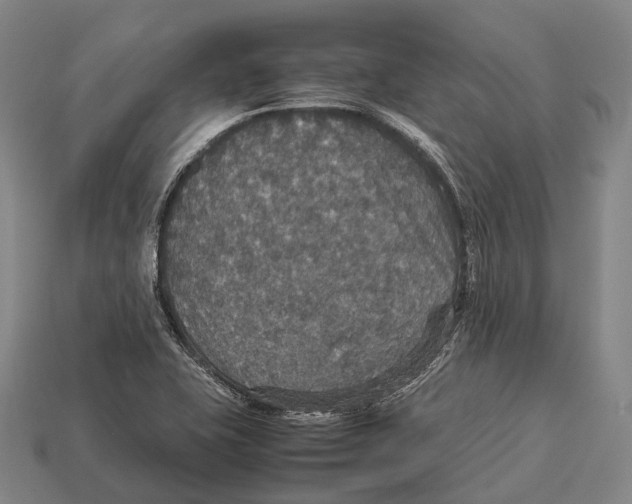 X0000113111415200909251043
