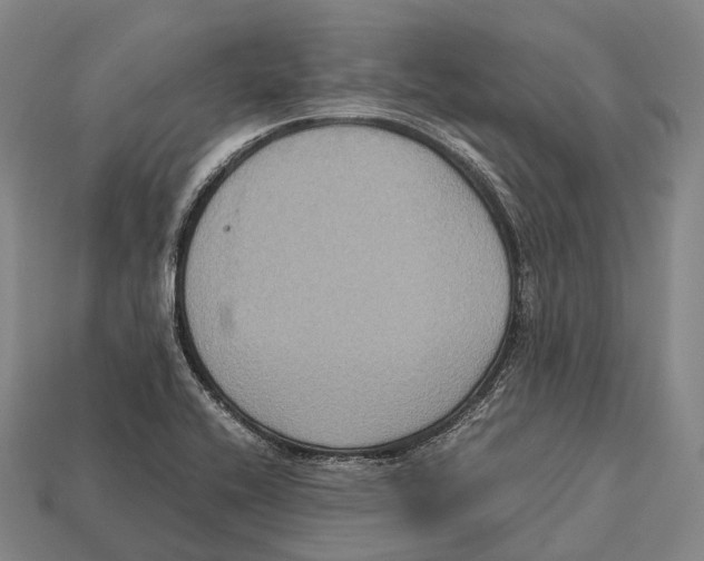 X0000113111416200909251043