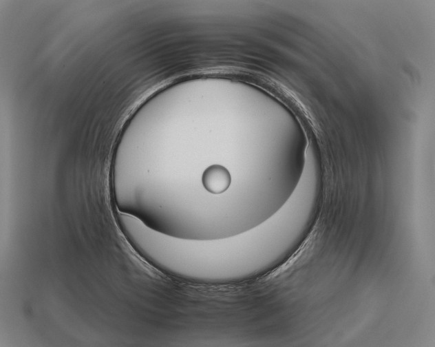 X0000113111417200909251043