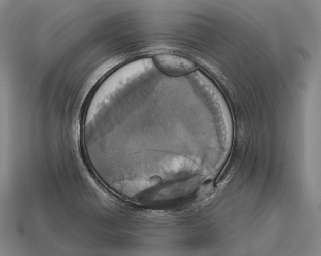 X0000113111418200909251043