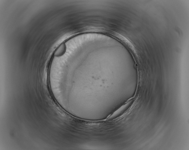X0000113111419200909251043
