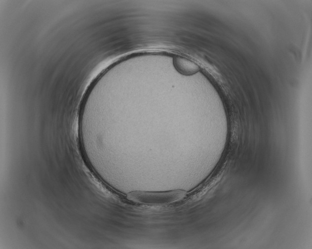 X0000113111420200909251043