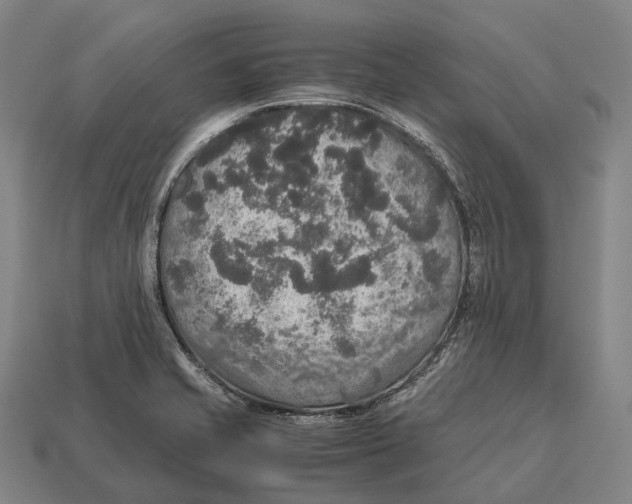 X0000113111421200909251043
