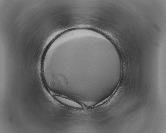 X0000113111422200909251043