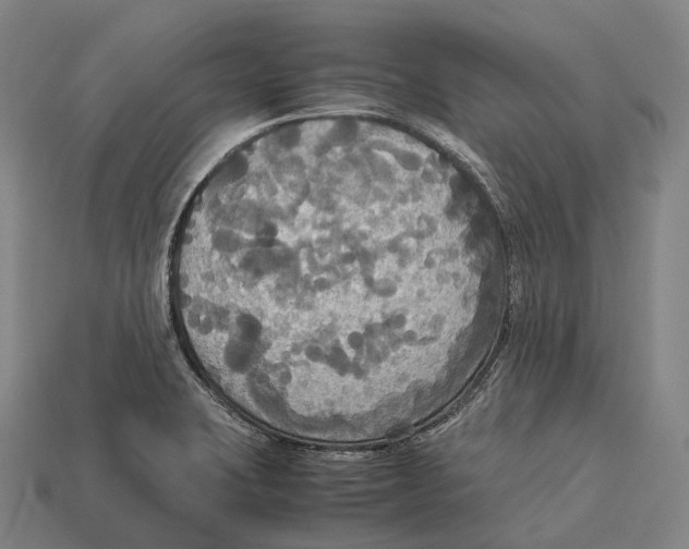 X0000113111423200909251043