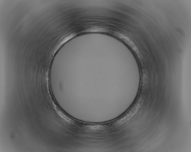 X0000113111425200909251043