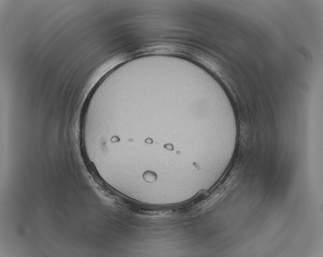 X0000113111426200909251043