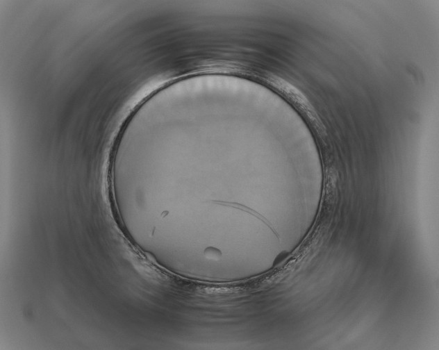 X0000113111427200909251043