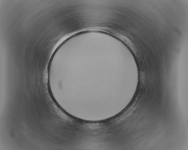 X0000113111428200909251043
