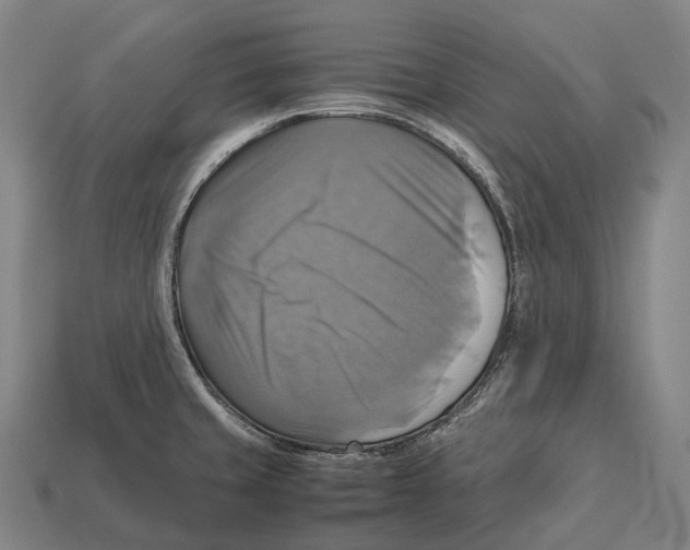 X0000113111429200909251043