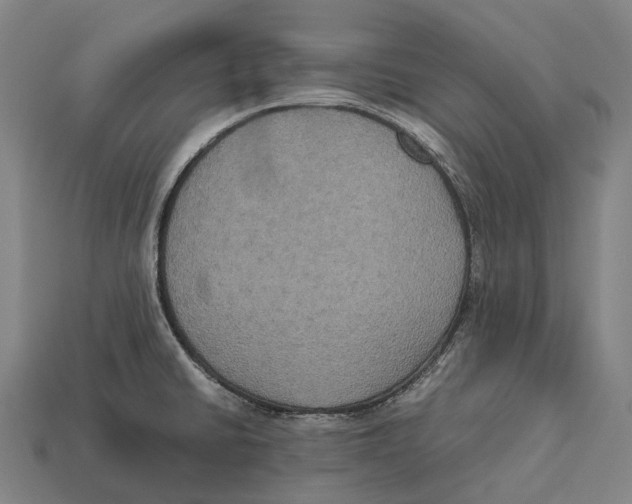 X0000113111430200909251043