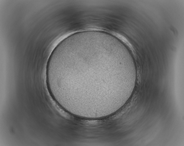 X0000113111431200909251043